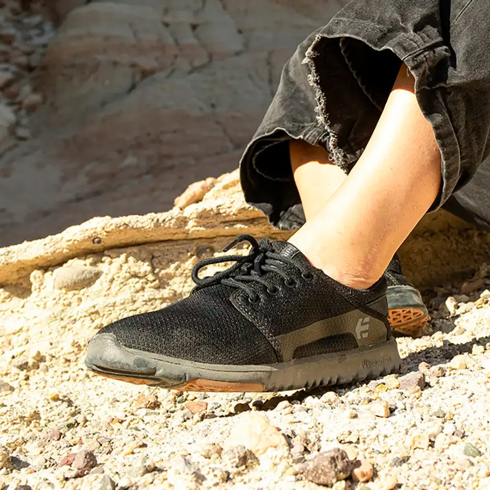 Scout - Image 5